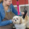 Pet Grooming Arm Extension Strap Adjustable Quick Release Dog Grooming Leash Grooming