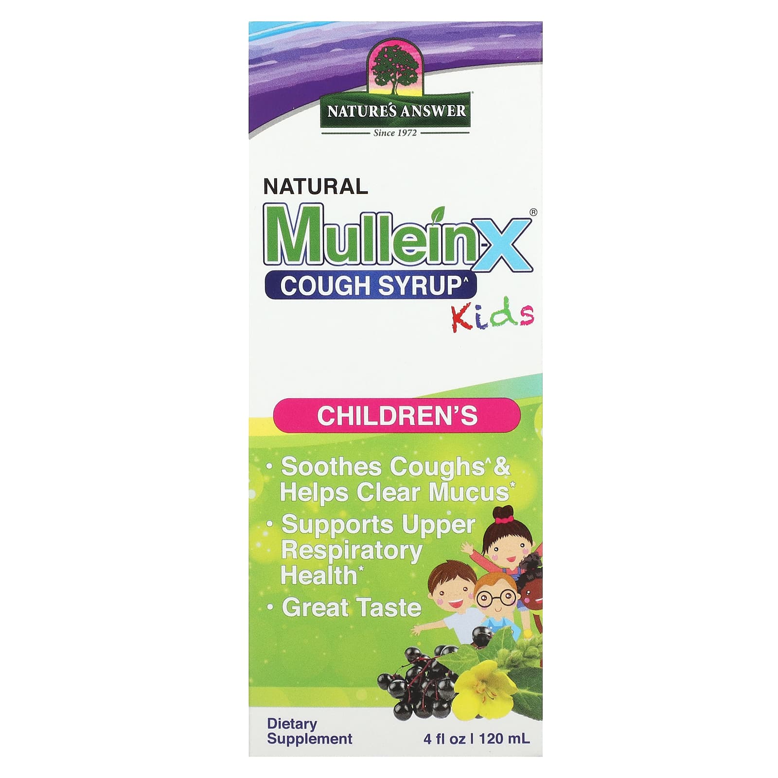

Nature s Answer, Natural Mullein-X Cough Syrup, Children s, 4 fl oz (120 ml)