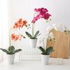Decorative Two Stem Orchid Arrangement for Stylish For Home Weddings and Events Silk and Plastic with Flower Pot