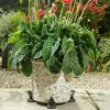 3Pcs Garden Decor Animal Resin Plant Stand Bonsai Stand Plant Pot Foot Flower Pot Support