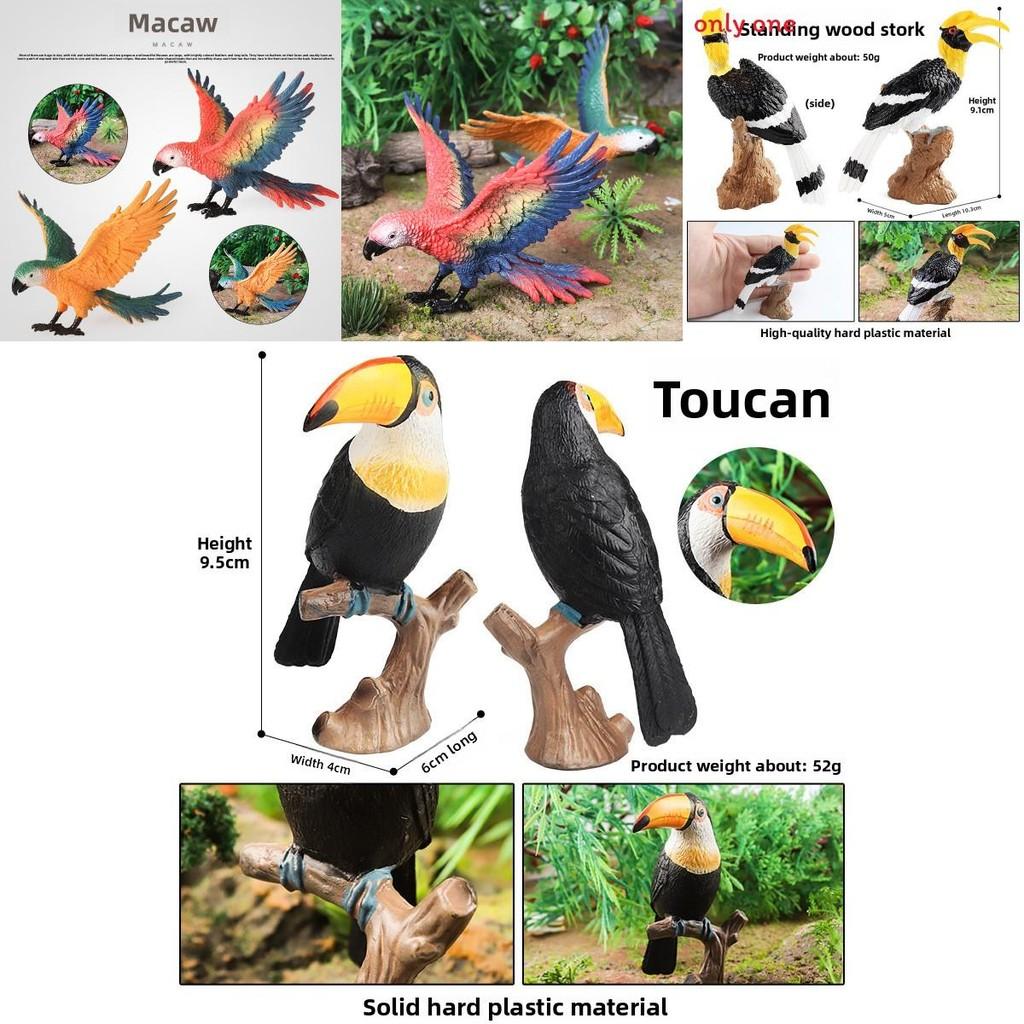 Wildlife Animal Model Solid Plastic Parrot Bird Display Figure For Kids Playroom Decor