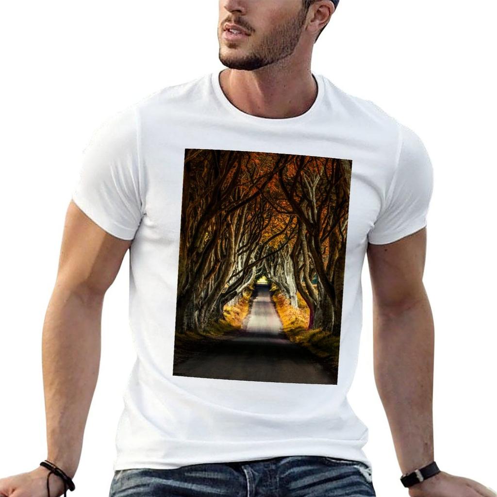 When autumn comes T-Shirt Casual Light Summer Short Sleeve Top