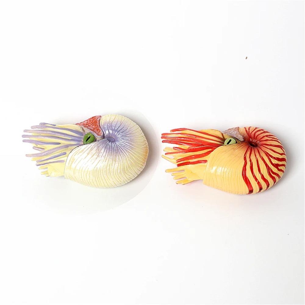 Plastic Ancient Marine Animal Toy Figures Nautilus,Baculites,Cephalaspis,Opabinia,Dunkleosteus Prehistoric Educational Toys