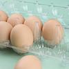 1/5pcs Egg Storage Box Refrigerator Food Grade Fresh-Keeping Box Disposable Plastic Egg Tray Shockproof Plastic Egg Protect Tray