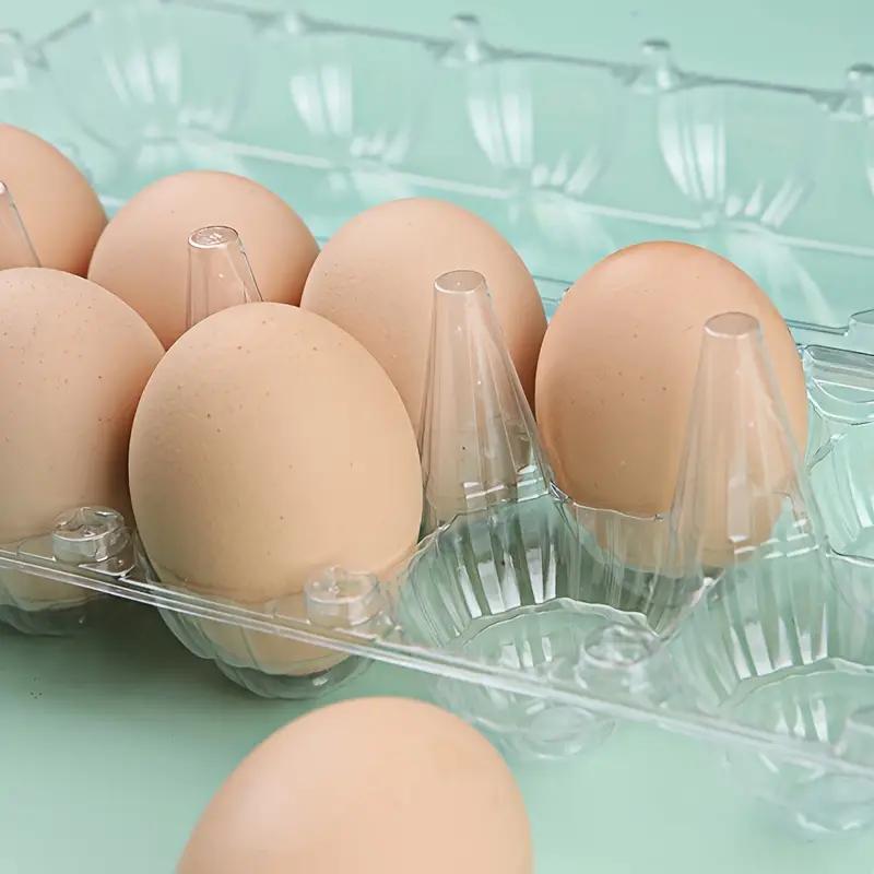 1/5pcs Egg Storage Box Refrigerator Food Grade Fresh-Keeping Box Disposable Plastic Egg Tray Shockproof Plastic Egg Protect Tray