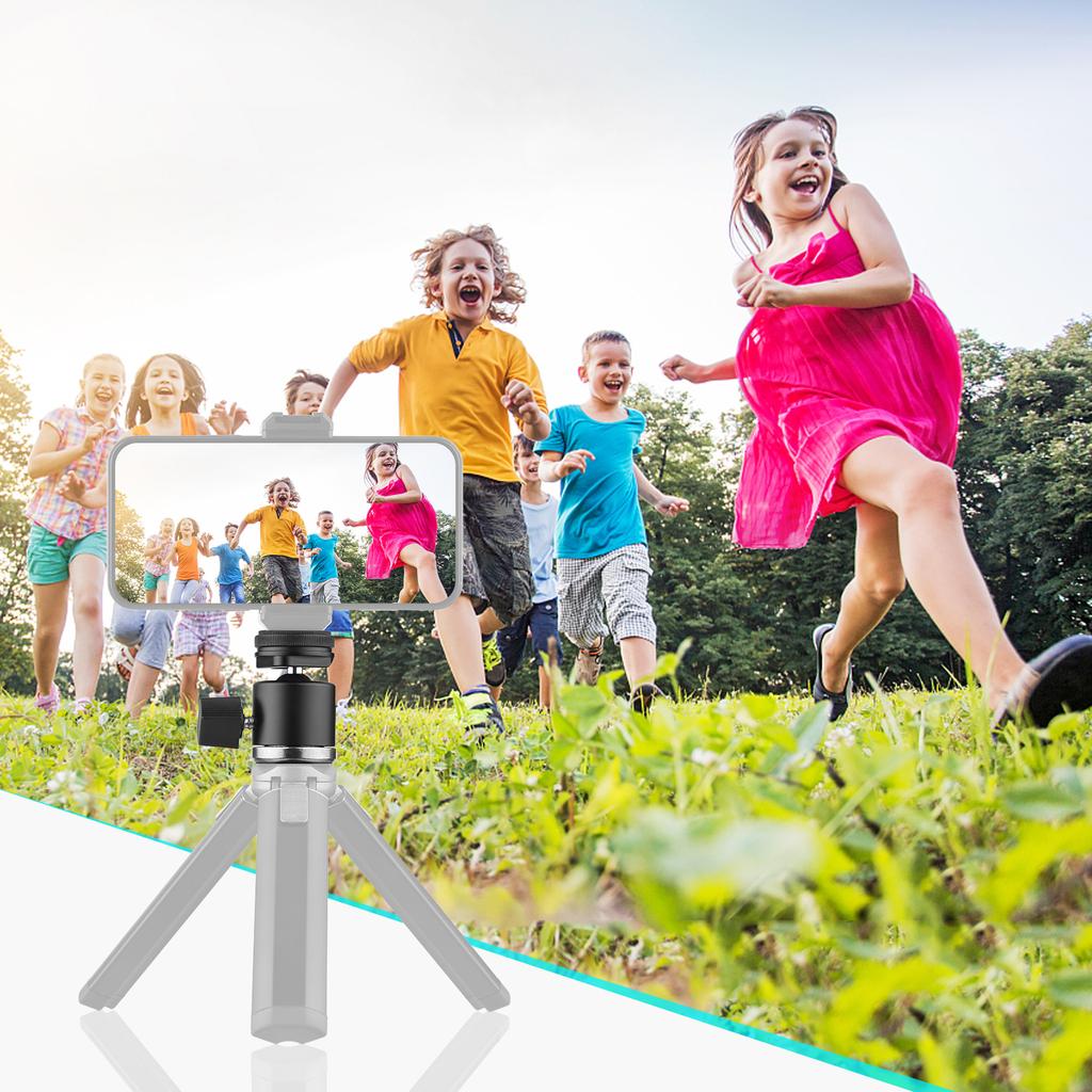 2in1 1/4 Schraube Kaltschuhmontage-Kugelkopf 360 Grad drehbarer Dual-Use-Mini-Kugelkopf aus Aluminiumlegierung