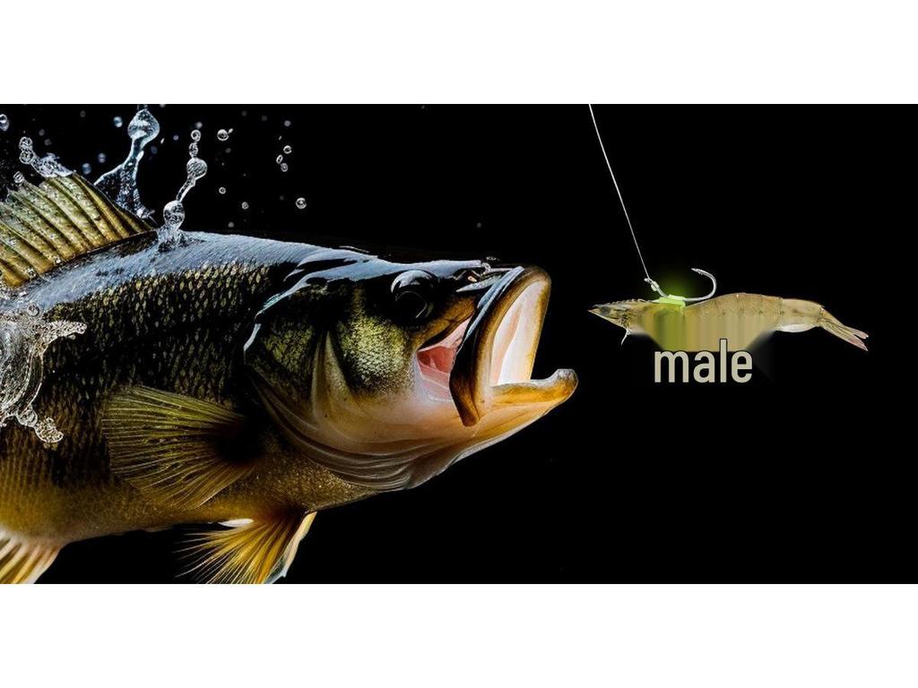 10-Piece Luminous Live Shrimp Fishing Hooks Set