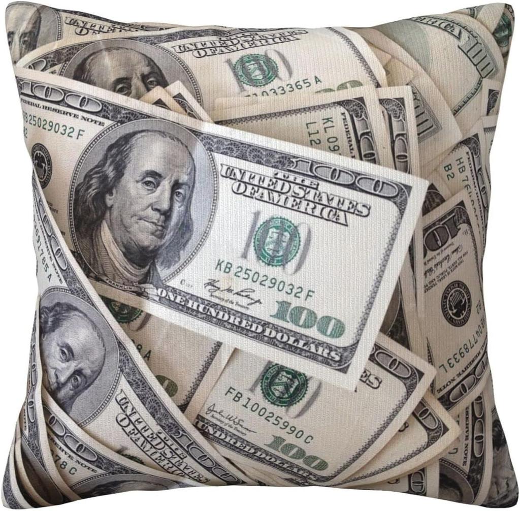 Dollar Bill Throw Pillow Case Decorative Throw Pillows Square Cushion Cover for Sofa Bed Car Chair Living Room 18x18 Inch