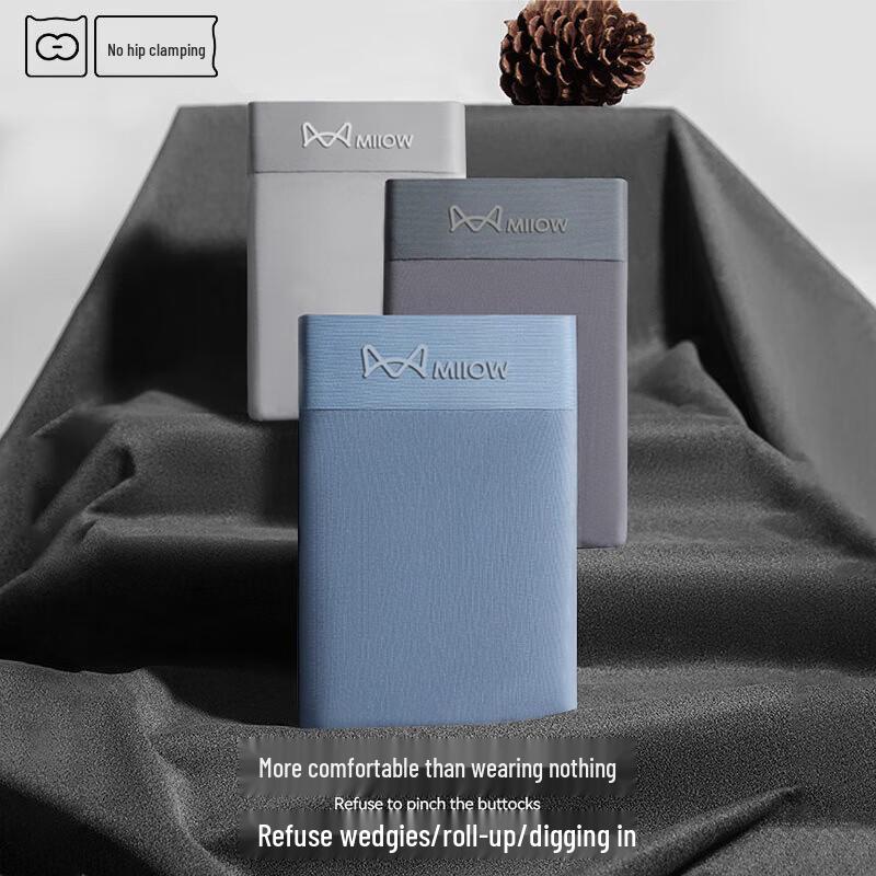 Mao Ren Men's 100S Modal Antibacterial Boxer Briefs