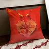 KKacey Musgraves Singer Cushion Cover Reversible Soft Durable Pillow Cover Home  Car MultiScene Use for Daily Comfort