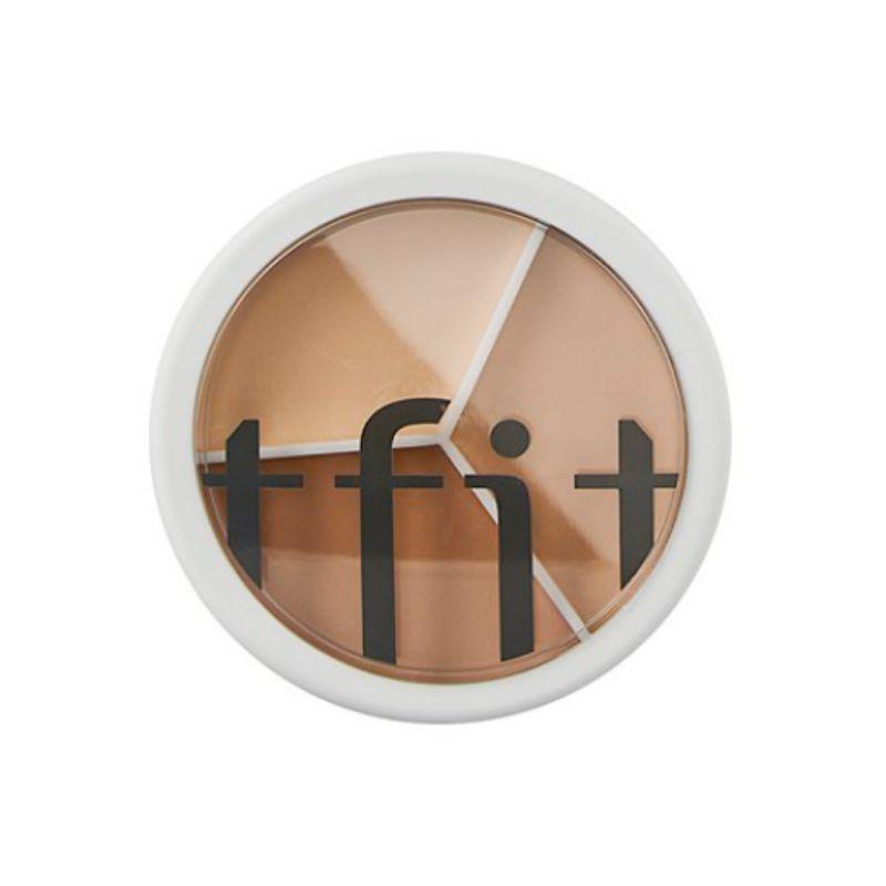 TFIT Cover Up Pro Concealer (15g)