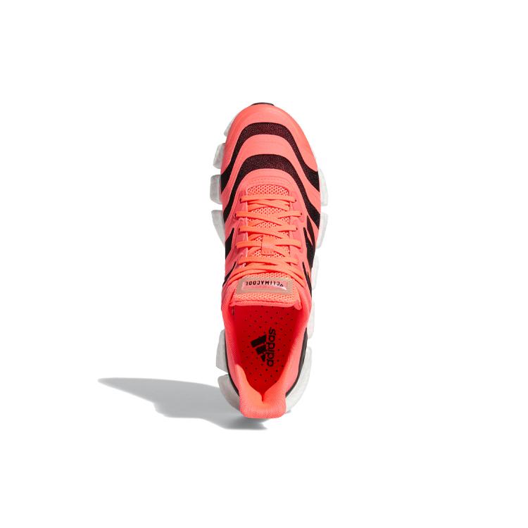 New Adidas Climacool Vento Signal Pink FX7848