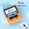Detong DP30S Portable QR Code and Barcode Label Printer CN plug (adapter included)