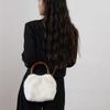Soft Plush Women's Handle Shoulder Bags Simple Classic Faux Fur Female Purse Crossbody Bag Fall Winter Luxury Furry Handbags