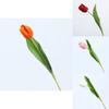 Realistic Tulipa Gesneriana Fake Flower Artificial Plant For Wedding Decoration And Photography Props