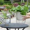 Lazy Self Watering Flower Pot Hydroponics Growing System Planter Flowerpot Garden Hydroponics Plants Pot Potted Planters