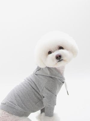 Foreverybari Basic Hoodie (Grau)