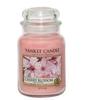 Bougie parfumée - yankee candle - fleur de cerisier - grande jarre - 623 g - intérieur