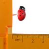 Red Ladybug Thumbtack  Document Nail Whiteboard Photo Map Pins  Office