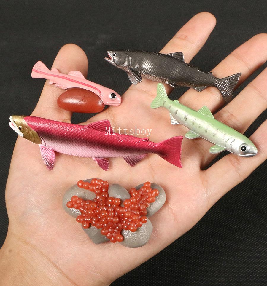 Montessori Wooden Lifelike Insect Animal Life Cycle Board Teaching Plant Animals Growth Cycle Model Set Preschool Cognitive Toy