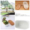 Facecolor Oval Cactus Set of Flower Succulent Ceramic Succulent Mini Ceramic Cactus Planter Small Planter Pots for Mini Plants with Drain Holes and