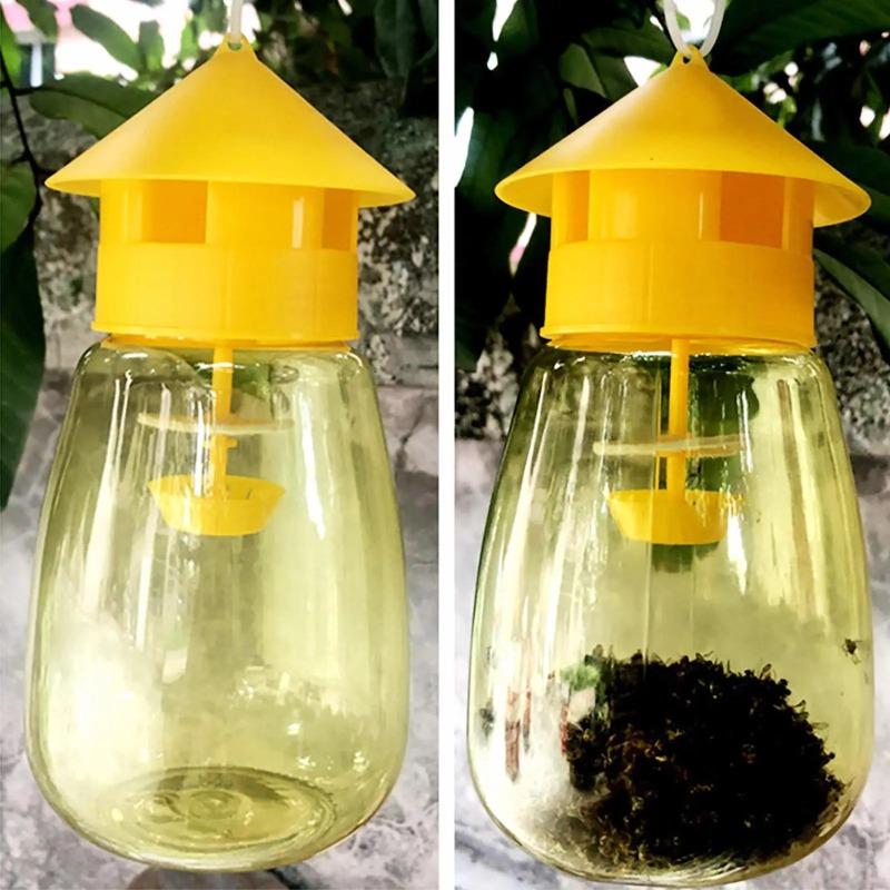 Fruit Fly Trap Sticky Disposable Orchard Vegetable Catcher Non Toxic Pest Control Supplies For Kitchen Indoor Outdoor Garden