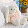 40 50CM Cute Rabbit Plush Toy Wear Princess Skirt Soft Comfortable Doll Pillow for Room Decoration Girl Birthday Gift