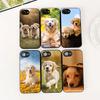 Casing for Apple iPhone 16 14 15 Plus 11 Pro Max 16E ProMax + 16Plus 15+ 14+ Phone Cover Protective Case Golden Retriever Dog