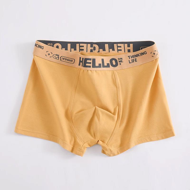 Antibacterial Mid-Rise Boxer Briefs for Men and Teens - Breathable Large Size Pants.