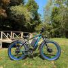 Bicicleta eléctrica PHILODO H8, motor de 3000W, batería de 48V 26Ah, velocidad máxima 56 km/h, autonomía de 100 km, neumáticos de 26x4.0 pulgadas