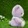 Take Off Baby Bear Drop Retro Pastel Colored Bear with Cute Flower Embroidery On Collar Plush Toy S Purple [Music Box Included]