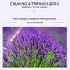 Xiangjing Yili Lavender Aromatherapy Sachet - Plant-Based Fragrance for Cars and Home