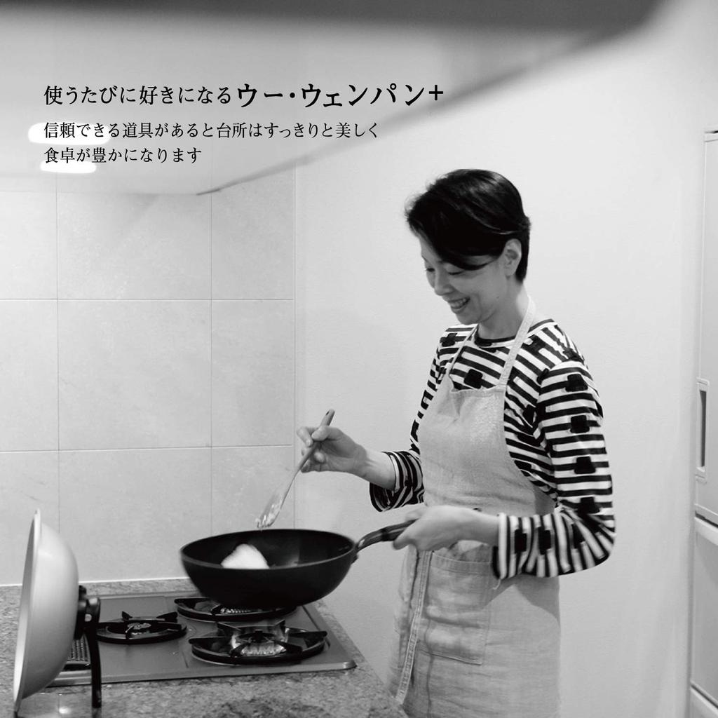 Hokuriku Aluminum Leichter Wok Wu Wenpan 24cm Cam Nachtgrau WPL24 +