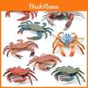 Realistic Plastic Crab Model Collection Vibrant Colors For Home Decor Educational Display