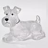 1 Piece Puppy Hair Transparent Storage Box Bag Dog Hair Hair Storage Capsule Pendant Charm Pet Collection Decoration Souvenirs