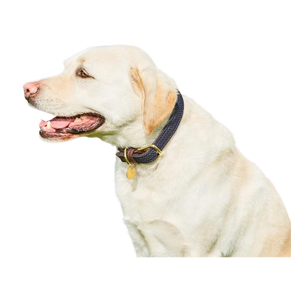 Weatherbeeta Coleira de Couro Trançado para Cachorro