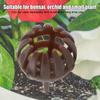 100PCS Spherical Shape Fertilizer Basket Box Brown Plastic Fertilizer Basket