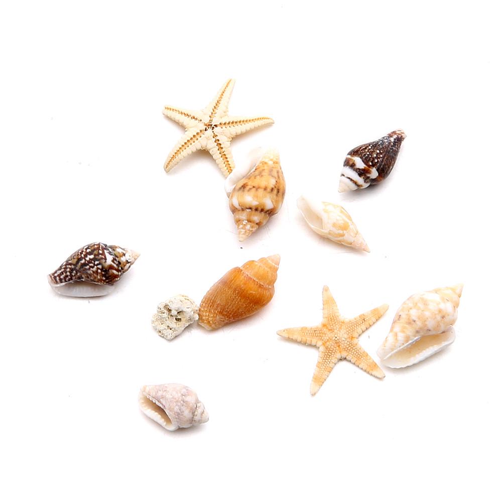 (Nikita) Sea Shell 1BOX Nail Art Rhinestones Glitter Diamond Gems 3D Tips DIY Decoration
