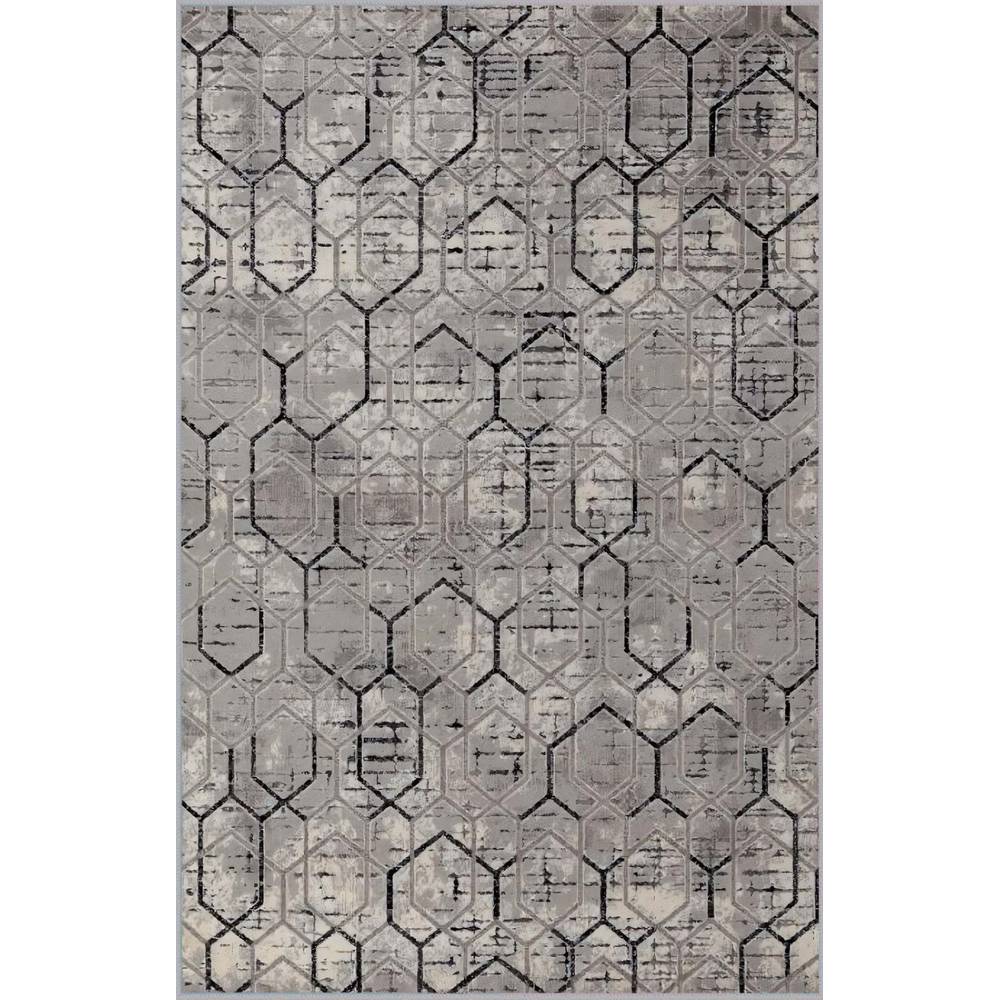 Rovigo Home Washable Printed Carpet RVGHOME0619