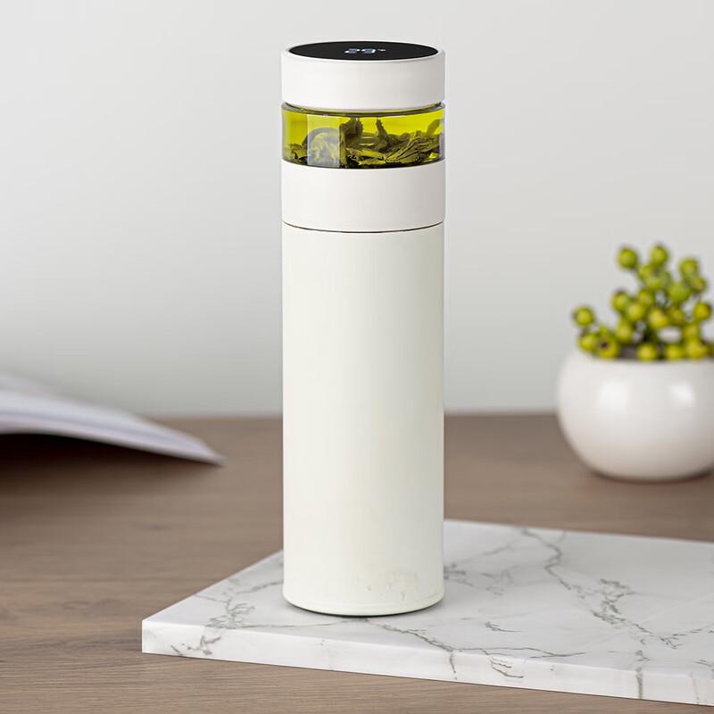 MRSIKEY Smart Tea Infuser Portable Double-Layer Thermos Cup