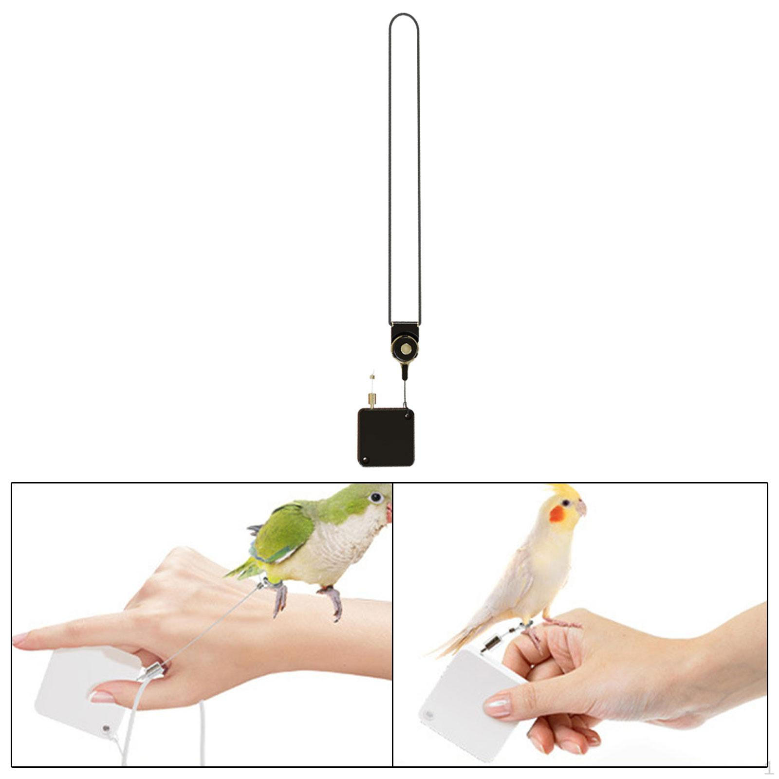 

210 см поводок для дрессировки птиц и веревка для прогулок попугаи кореллы волнистые попугайчики