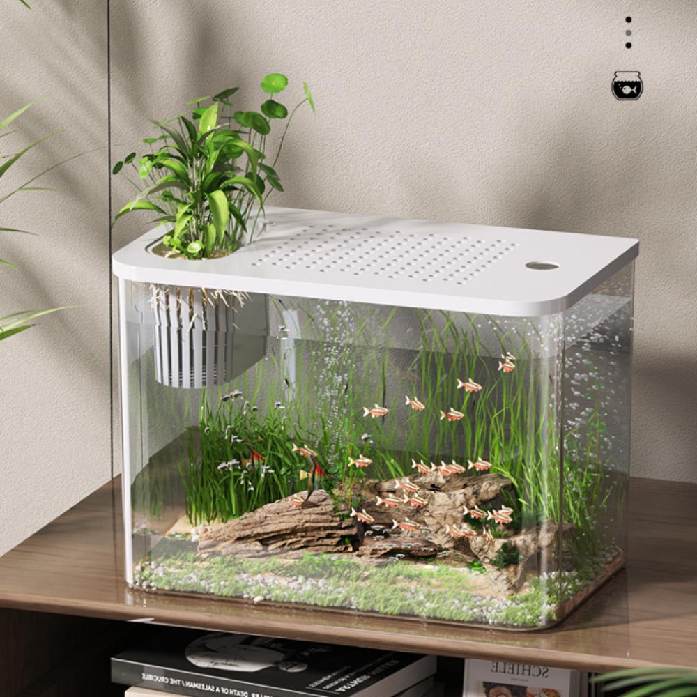 Acquario in PET Nuovo Trasparente con Coperchio Acquario Resistente alle Cadute Serbatoio Idroponico Tartarughiera Casa