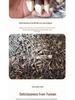 Yunnan Specialty Black Chicken Mushroom - Dried & Artificially Cultivated