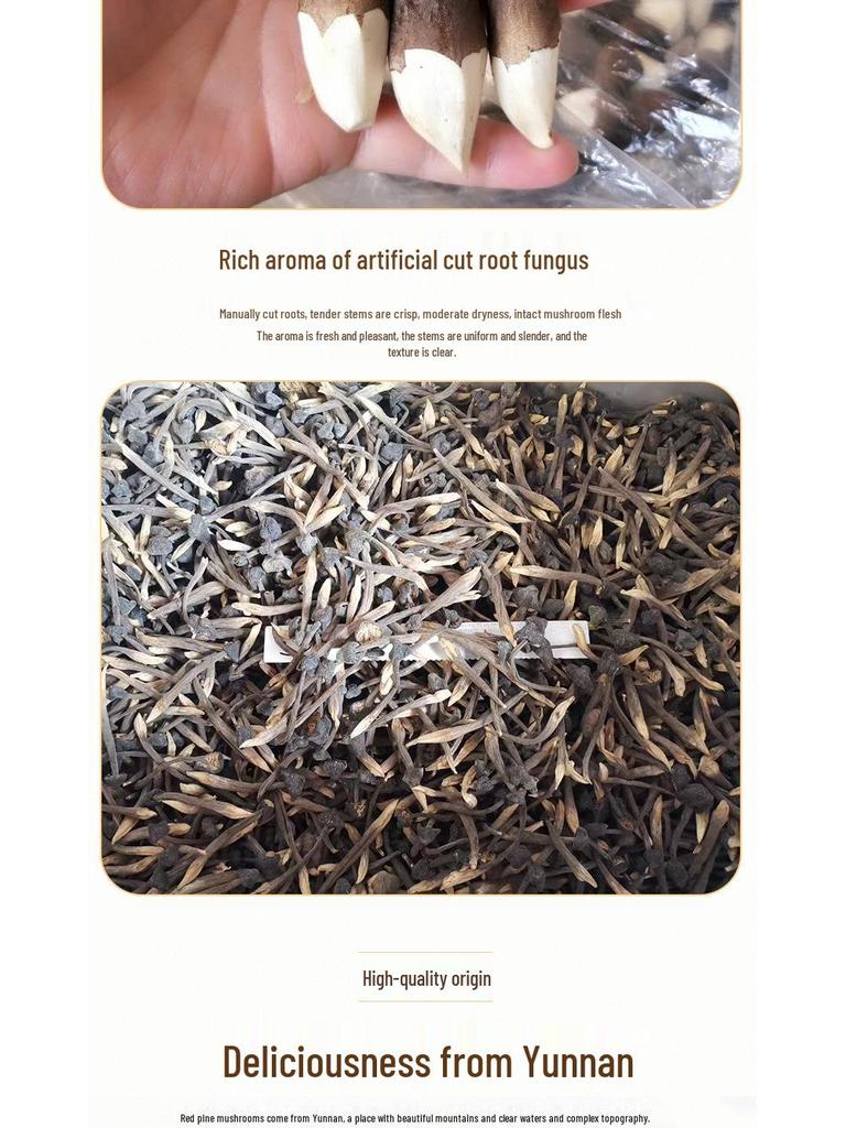 Yunnan Specialty Black Chicken Mushroom - Dried & Artificially Cultivated
