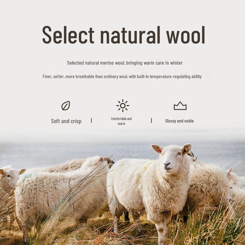 Shanshan Men's Wool Blend Flannel Straight Casual Pants