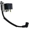 Stihl FS38 FS55 FC55 FS45 FS46 MM55 Ignition Coil 41404001308