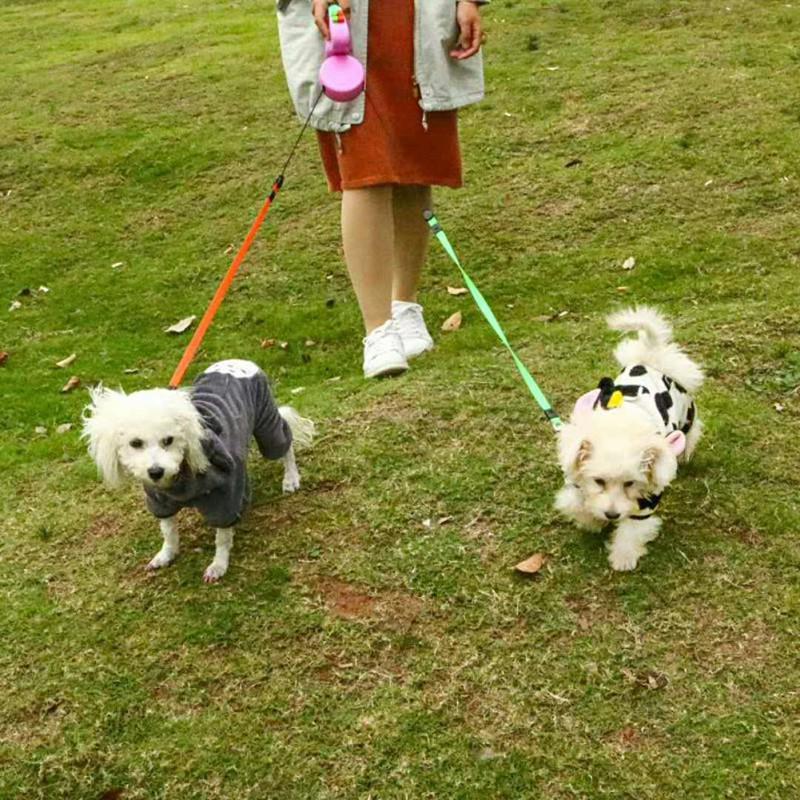 dual walking leash