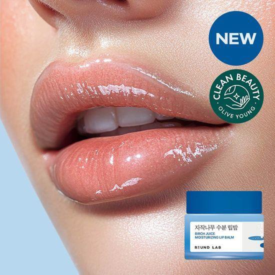 ROUND LAB Birch Moisture Lip Balm 20g