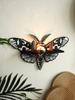 Halloween Crystal Shelf Display Dragonfly Butterfly Floating Wall Shelf for Gothic Home Decor Halloween Party Wall Decorations