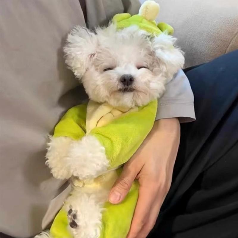 Cute Cartoon Dinosaur Flannel Warm Jumpsuits Pet Clothing Small Dogs Puppy Cats Teddy Bear Clothes Costume Coat Pet Accessories